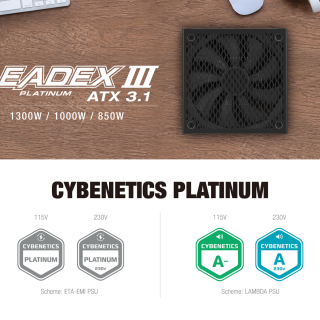 ifor_EDM_LEADEX III PL_260811_01_85